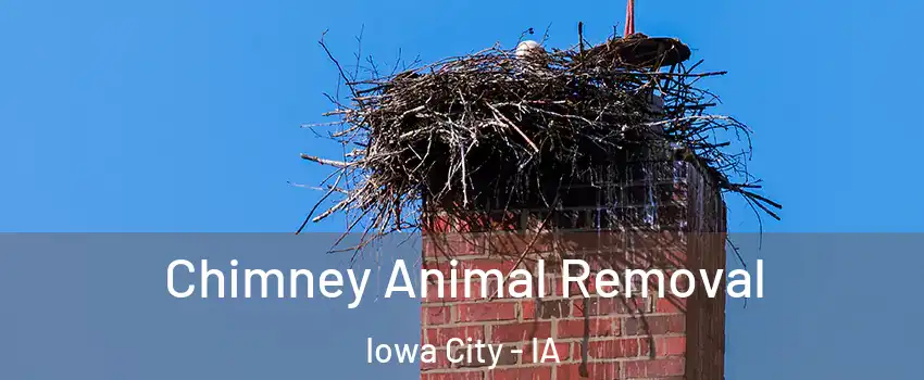  Chimney Animal Removal Iowa City - IA