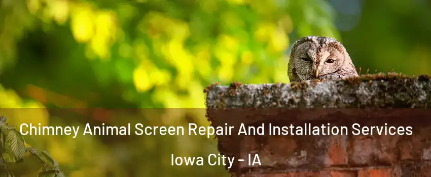  Chimney Animal Screen Repair And Installation Services Iowa City - IA
