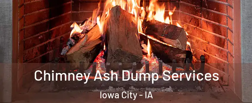  Chimney Ash Dump Services Iowa City - IA