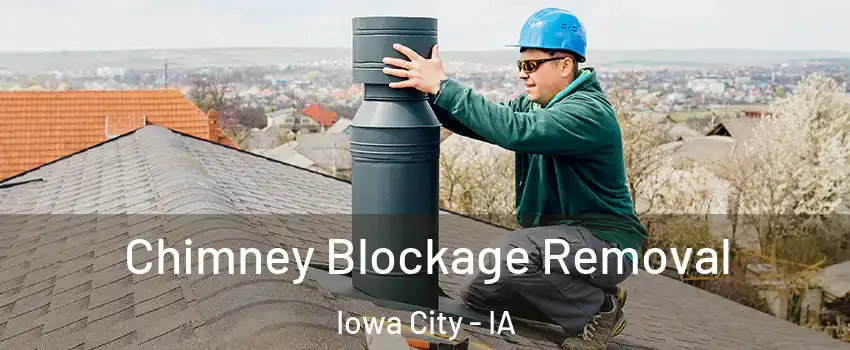  Chimney Blockage Removal Iowa City - IA