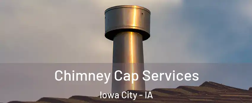 Chimney Cap Services Iowa City - IA