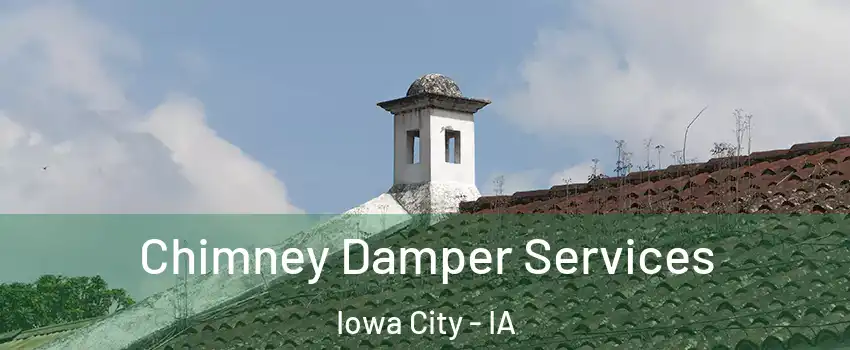  Chimney Damper Services Iowa City - IA