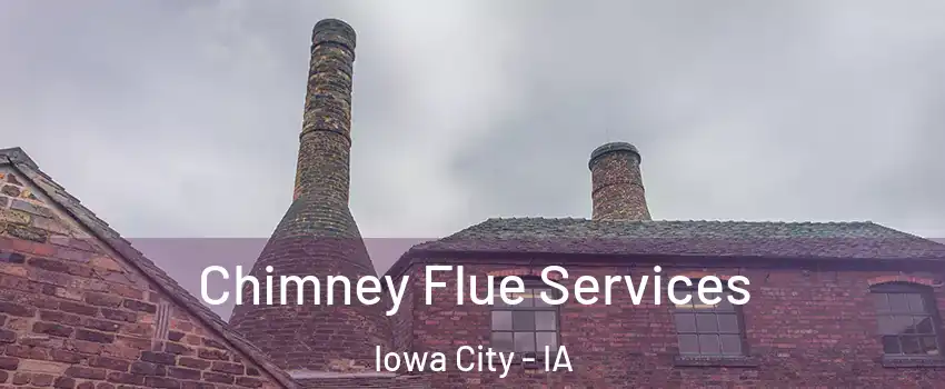  Chimney Flue Services Iowa City - IA