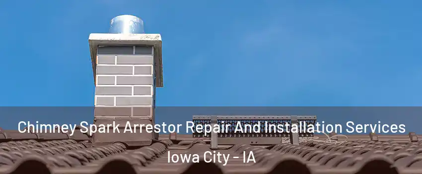  Chimney Spark Arrestor Repair And Installation Services Iowa City - IA