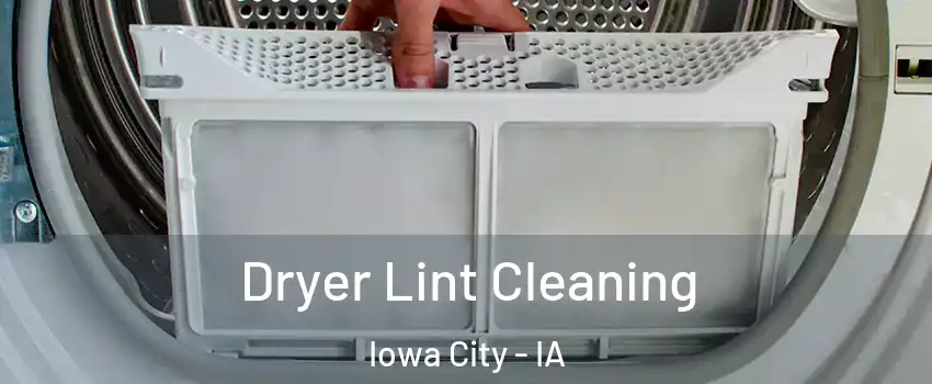  Dryer Lint Cleaning Iowa City - IA