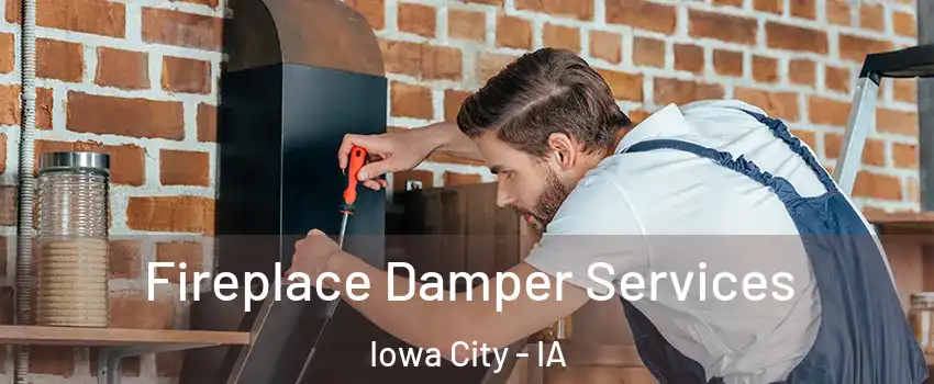  Fireplace Damper Services Iowa City - IA