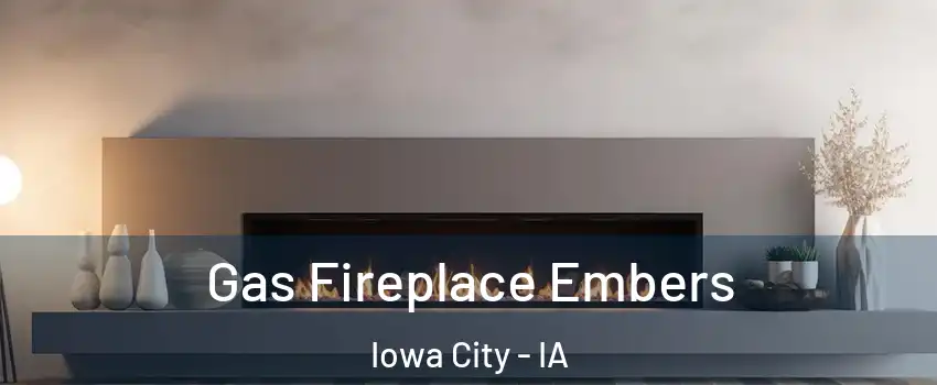  Gas Fireplace Embers Iowa City - IA