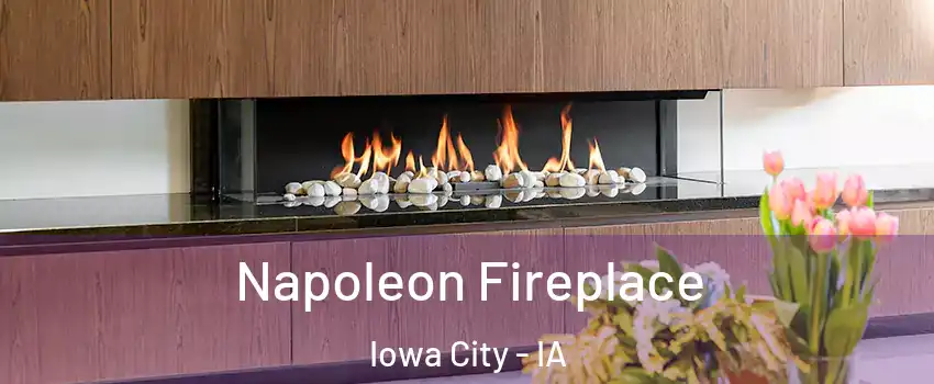  Napoleon Fireplace Iowa City - IA