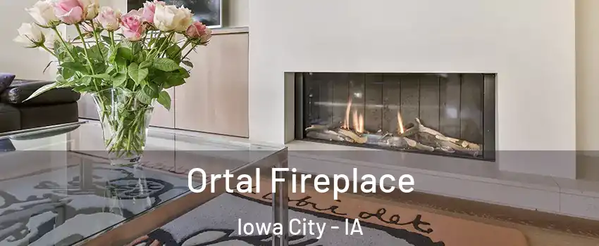  Ortal Fireplace Iowa City - IA